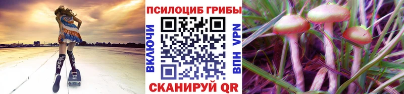 Галлюциногенные грибы Psilocybine cubensis  Чапаевск 