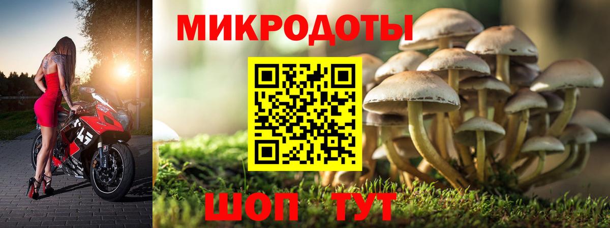 Псилоцибиновые грибы Psilocybe  Вход с VPN  Чапаевск  Галлюциногенные грибы Cubensis 